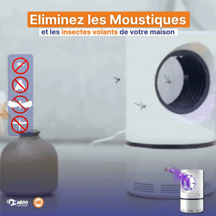 Lampe-Piège à Moustiques
